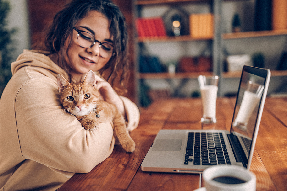 Girl holding and petting a cat